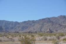 DSC_4431.jpg