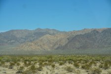 DSC_4449.jpg