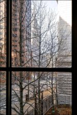 DSC02500.jpg