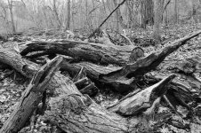 untitled shoot-0199.jpg