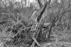 untitled shoot-0202.jpg