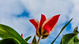 DSC_1978l.jpg