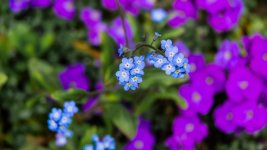DSC_1957.jpg