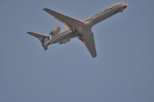 DSC_4905.jpg
