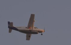 DSC_4927.jpg