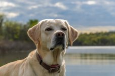untitled-3288.jpg