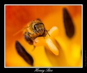 _DSC_7440_Web.jpg