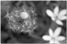 Spring2015-3.jpg