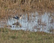 DSC_8540.jpg