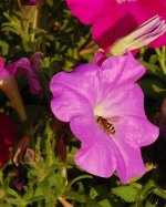 DSC_1215.jpg
