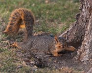 DSC_0262.jpg