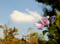7928640122_8dae177a32.jpg