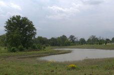 partridge creek1 1200.jpg