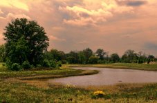 partridge creek 1200.jpg