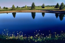 calm morning 1400.jpg