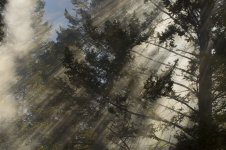 smoke.jpg