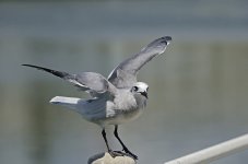 _DSC7672.jpg