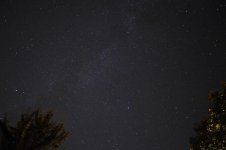 _DSC2375 (800x531).jpg