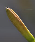 sept 2011 070 (1062x1280).jpg