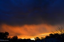 DSC_0209.jpg