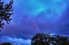 DSC_0211.jpg
