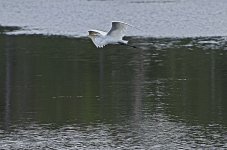 _DSC8879.jpg