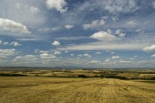 landscape_sm.jpg