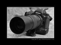 Nikon-F5.jpg