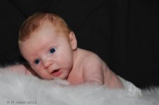 DSC_0480compress.jpg