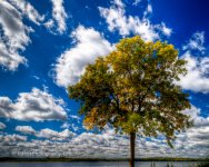 DSC_0034_3470_tonemapped-2.jpg
