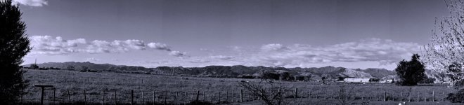 test crop 3.jpg
