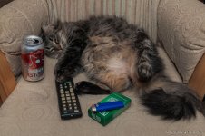 DSC_0578.jpg