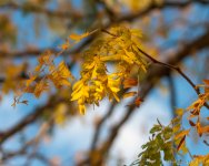 DSC_0586.jpg