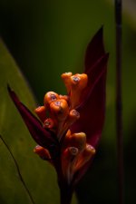 DSC_0394.jpg