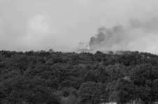 Wildfire 3.jpg