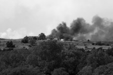 Wildfire 4.jpg