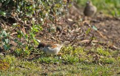 DSC_8689.jpg