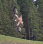 DSC_0326.jpg