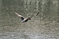 DSC_8713.jpg