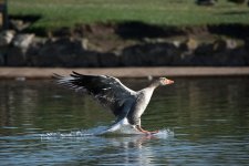 DSC_8672.jpg