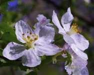 DSC_4336.jpg