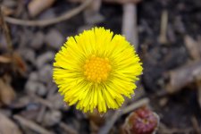 DSCF0753.jpg