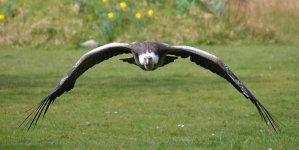 DSC_0109.jpg