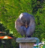 DSC_0673.jpg