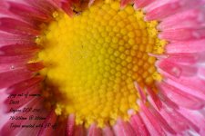 1_DSC_6485.jpg