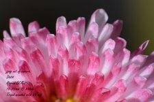 2_DSC_6487.jpg