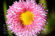 3_DSC_6488.jpg