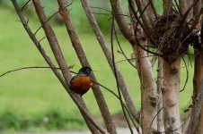 Wedding-The reception and portraits-8857.jpg