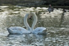 DSC_8715.jpg