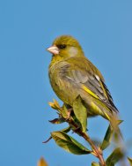 DSC_8734.jpg